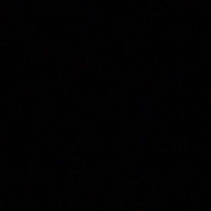 Meet your Posher, Selena